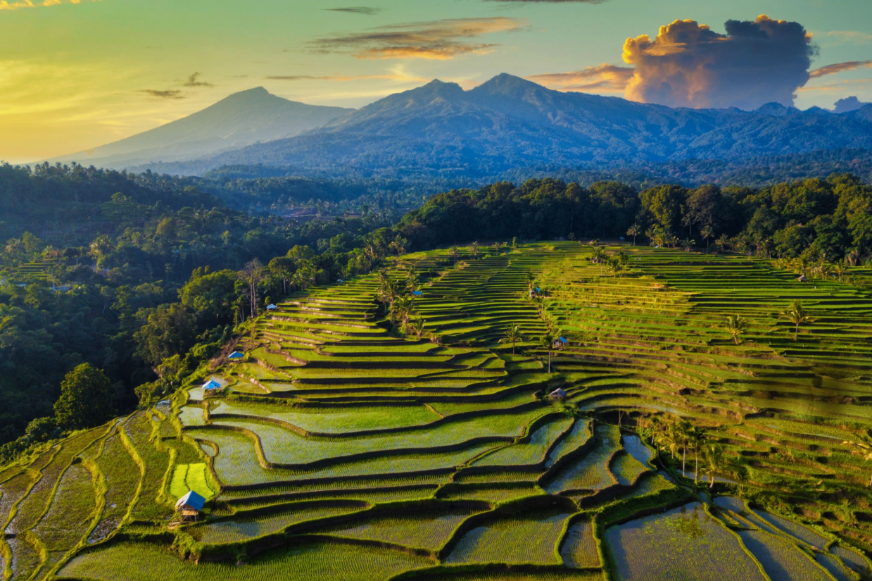 Felipe Herrera asesor fiscal y abogado de inversores en Lombok